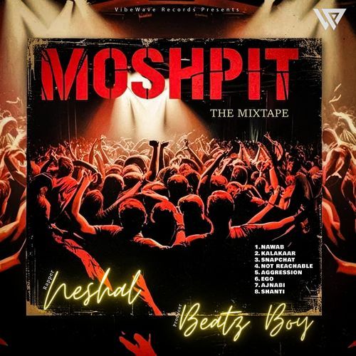 MOSHPIT : THE MIXTAPE Beatz Boy MP3 Download